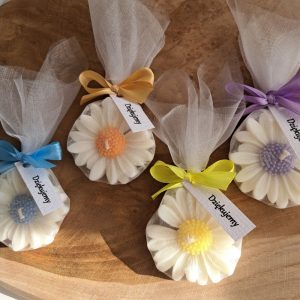 Podziękowania dla Gości ze Świec